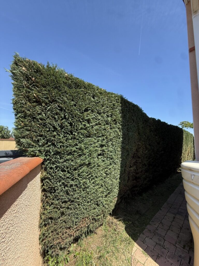 Taille de haie à Nailloux